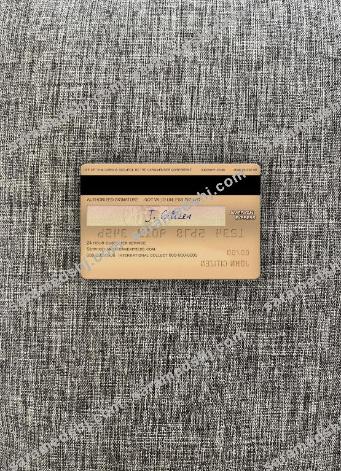 USA MOVO bank AMEX gold card photolook back